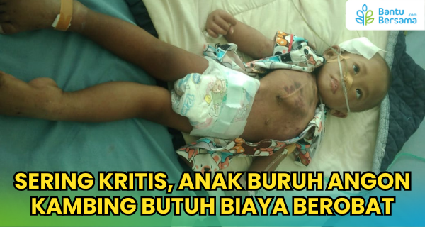 Tolong Anak Buruh Angon Yang Sedang Kritis!